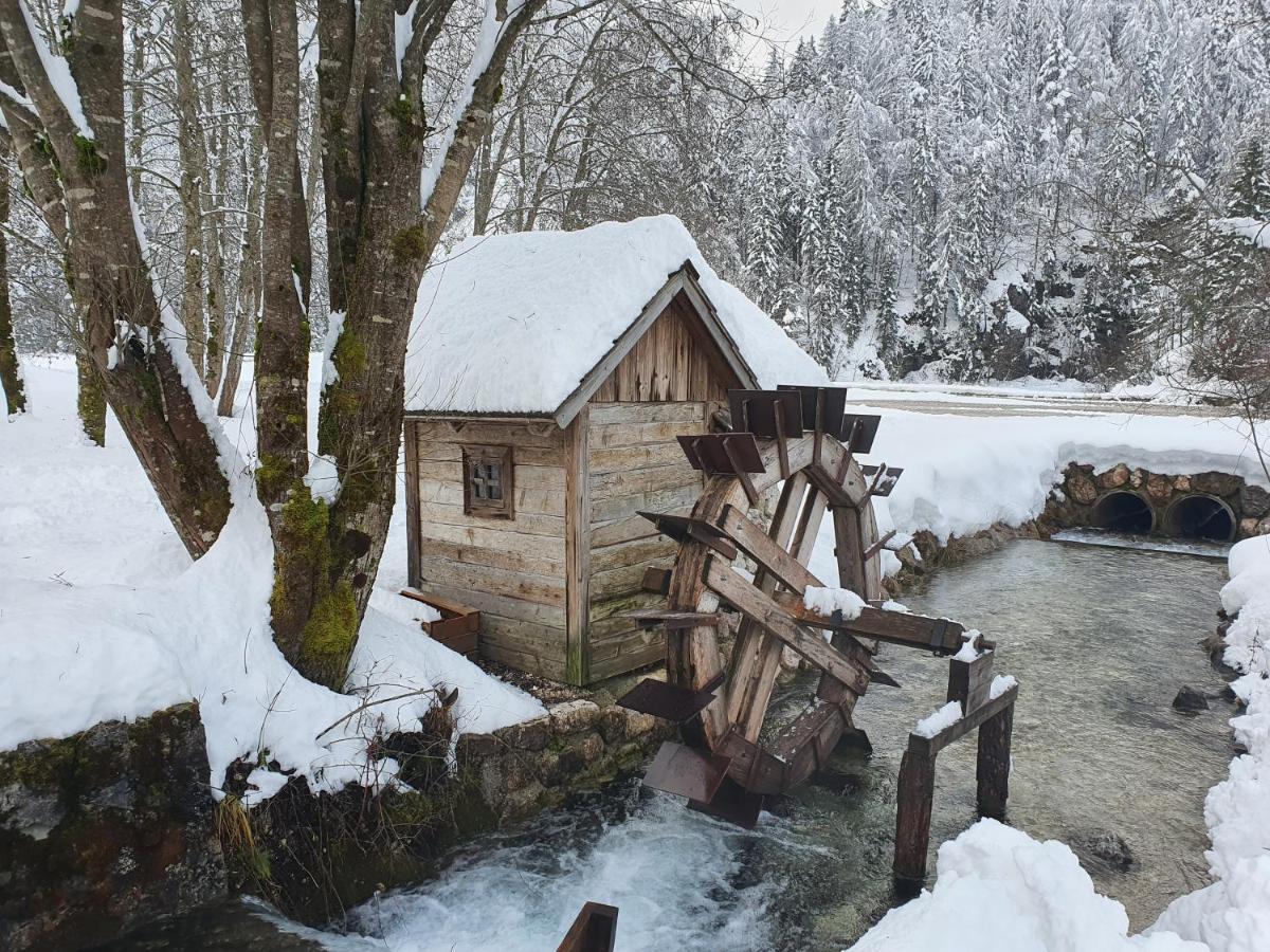 Apartma Lenka Kranjska Gora Buitenkant foto