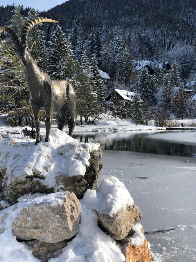 Apartma Lenka Kranjska Gora Buitenkant foto